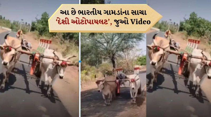 Viral Video: ગામમાં સ્વદેશી ટેસ્લા આ રીતે કામ કરે છે, ગામડાની ‘કાર’ આ રીતે ચાલે છે GPS વગર