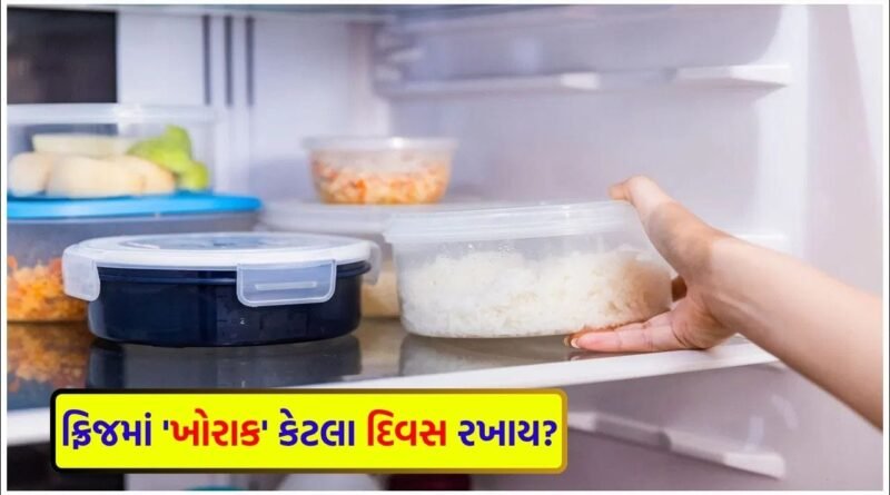 શું તમે પણ વાસી ખોરાક ફ્રિજમાં સ્ટોર કરો છો ? જાણો દૂધ, દાળ અને રોટલીની ‘એક્સપાયરી ડેટ’
