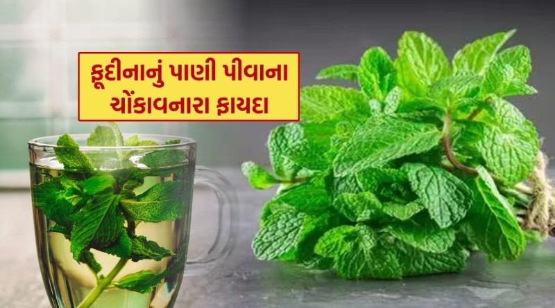 Fudina Pani Benefits : ઉનાળામાં ફૂદીનાનું પાણી પીવાના 5 ફાયદા, જાણી લેશો તો દવાખાને નહીં જવું પડે..!