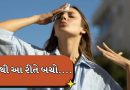 Heat Stroke : વધતી ગરમીમાં લૂ નો ભય, શું છે લક્ષણો, તેનાથી કેવી રીતે બચવું