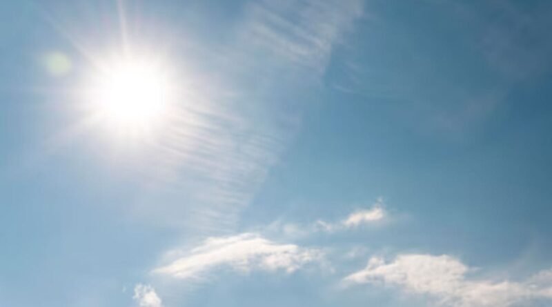 Health Tips: શક્કરટેટી કે તરબૂચ, ઉનાળામાં કયું ફળ સ્વાસ્થ્ય માટે વધુ ફાયદાકારક?