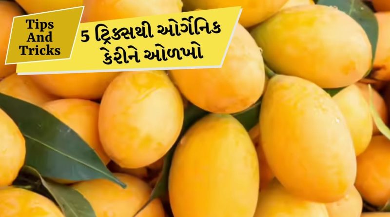 શું તમે કેમિકલવાળી કેરી ખાય રહ્યા છો? આ 5 સરળ રીતથી ઓર્ગેનિક કેરીને ઓળખો