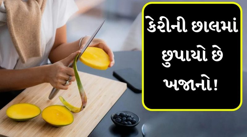 Mango Peel Reuse: કચરો નહીં, કામની વસ્તુ! જાણો કેરીની છાલના 5 ફાયદા