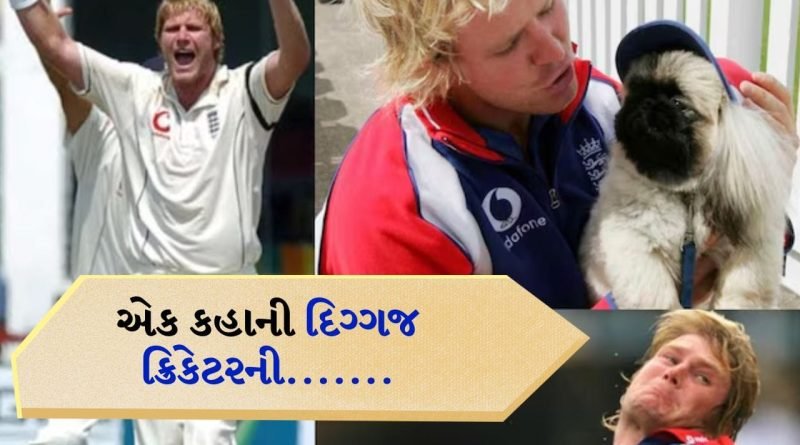 એશિઝ જીતાવનાર ચેમ્પિયન બોલરનો સંઘર્ષ, હવે કૂતરાઓની સેવા કરીને કરે છે ગુજરાન