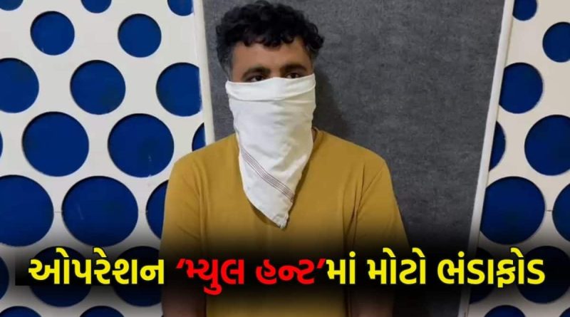 ઓપરેશન ‘મ્યુલ હન્ટ’માં મોટો ભાંડાફોડ: 80 કરોડથી વધુની રકમના સાઇબર ફ્રોડ કૌભાંડમાં વધુ એકની ધરપકડ