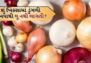 Onion in Pocket Heat Stroke Myth: શું ખિસ્સામાં ડુંગળી રાખવાથી લૂ નથી લાગતી? જાણો વડીલોની આ પદ્ધતિ કેટલી અસરકારક છે
