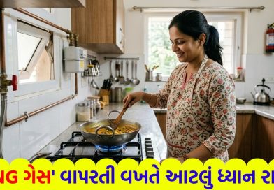 રસોડામાં ‘PNG ગેસ’ વાપરો છો ? સરકારની આ નાની સલાહ તમને અને તમારા પરિવારને મોટી દુર્ઘટનાથી બચાવશે
