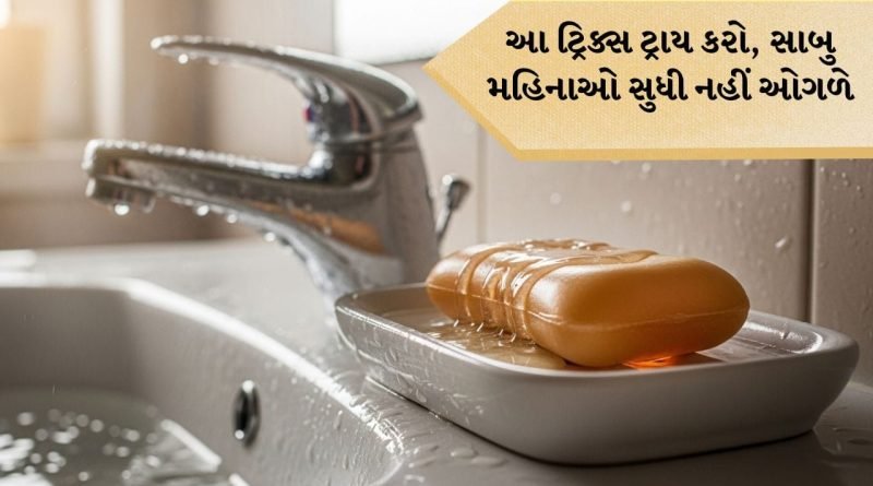 Tips And Tricks: સાબુ બચાવવાની સિમ્પલ ટ્રિક્સ, મહિનાઓે સુધી નહીં ઓગળે સાબુ, પૈસા પણ બચશે અને લાંબો ચાલશે