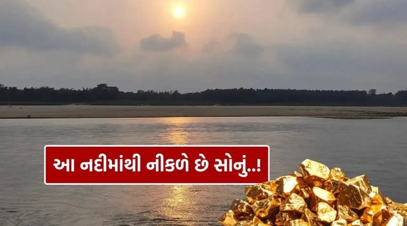 Gold from River : સોનાના કણ વહાવી લાવે છે આ નદી, તમે નહીં માનો પણ લોકો બની જાય છે અમીર