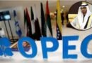 UAE એ કર્યુ OPEC માંથી બહાર નીકળવાનું એલાન, હોર્મુઝ નાકાબંધી વચ્ચે સંયુક્ત આરબ અમીરાતનો મોટો નિર્ણય