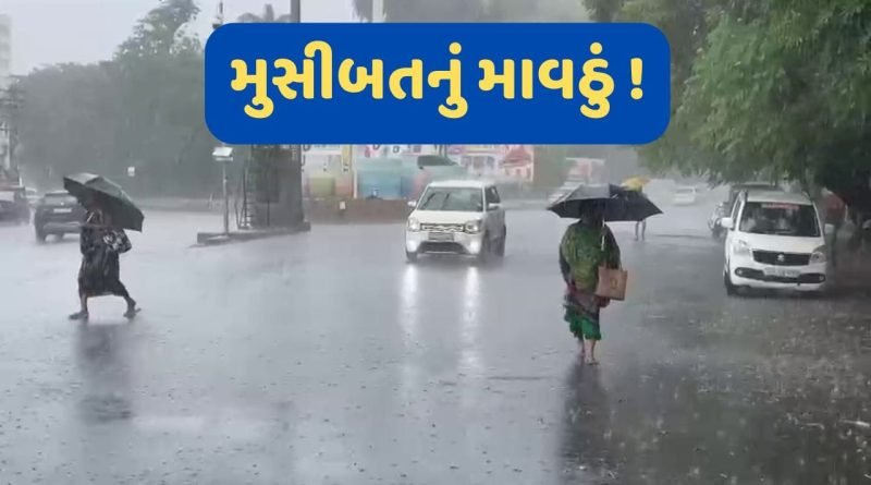 Breaking News: ગીર સોમનાથના વેરાવળમાં બે કલાકમાં એક ઇંચ વરસાદ, ખેડૂતો અને સ્થાનિકો બેહાલ
