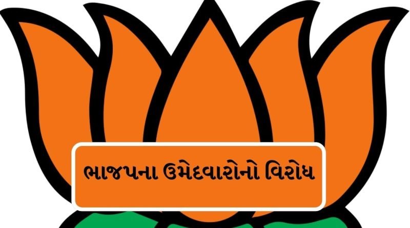 Breaking News : વડોદરામાં ચૂંટણી સમયે જ સોસાયટીમાં ભાજપના ઉમેદવારોનો થયો વિરોધ,જુઓ વીડિયો