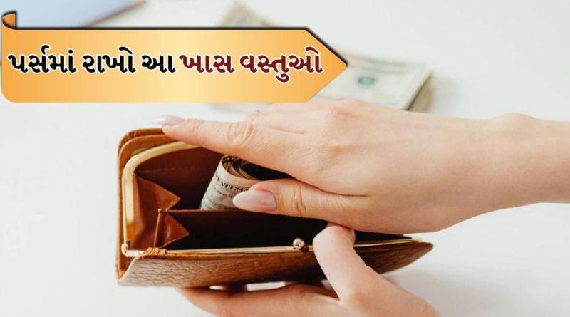 Vastu Tips: પર્સમાં રાખો આ 3 વસ્તુઓ, રુપિયા તમારી પાસે દોડીને આવશે, આજે જ અજમાવો આ ઉપાયો