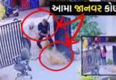 પિતા-પુત્રએ શ્વાનને દોરડે બાંધી ધોકાથી મારી અધમૂઓ કરી નાખ્યો! રાજકોટના રુવાડા ઊભા કરતા CCTV