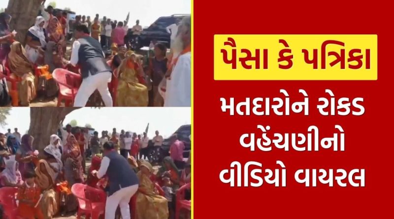 દાહોદમાં વાયરલ વીડિયોથી વિવાદ, ભાજપ ઉમેદવારના પતિ મુકેશ ડામોરે આરોપોને ફગાવ્યા, જુઓ Video