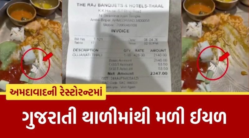 Breaking News : અમદાવાદની આ રેસ્ટોરન્ટની ગુજરાતી થાળીમાંથી મળી ઈયળ, જુઓ Video
