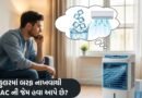 શું કુલરમાં બરફ નાખવાથી તે AC જેવી ઠંડક આપે છે? જાણો આ દેશી જુગાડ પાછળનું ટેકનિકલ સત્ય