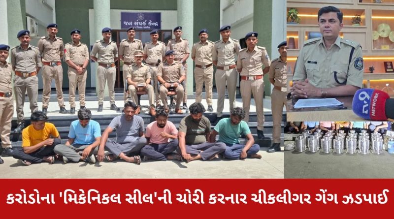 ભરૂચ : કરોડોના ‘મિકેનિકલ સીલ’ની ચોરી કરનાર ચીકલીગર ગેંગને દહેજ પોલીસે દબોચી લીધી, 6 ની ધરપકડ કરાઈ