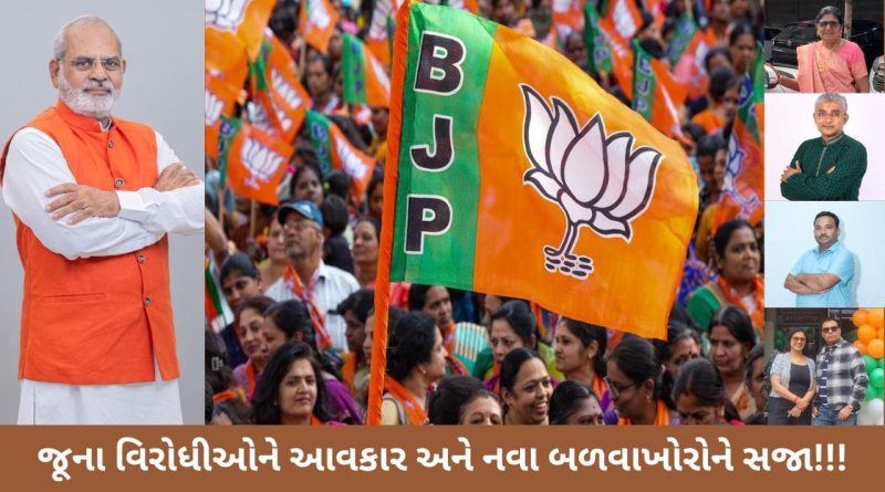 ભરૂચ ભાજપમાં ‘ક્યાંક ખુશી ક્યાંક ગમ’: 6 બળવાખોરોની ઘરવાપસી, તો અંકલેશ્વરના દંપતીને પક્ષમાંથી પાણીચું