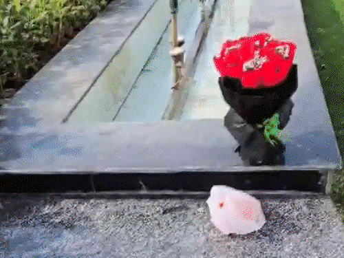 દિલ્હી વિધાનસભાનું બેરિયર તોડીને કાર ઘુસી:યુપીની નંબર પ્લેટ, VIP ગેટથી એન્ટ્રી કરી; ડ્રાઇવર સ્પીકર ઓફિસની બહાર બૂકે મૂકીને ફરાર