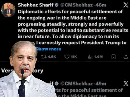 યુદ્ધ વિરામ પાછળ અસલી ભેજું કોણ?:પાકિસ્તાની PMએ X પર મૂકેલો મેસેજ કોપી-પેસ્ટ, વોર સીઝફાયરની સ્ક્રીપ્ટ ટ્રમ્પે લખી કે જિનપિંગે?; યુઝર્સે દાવ લઈ લીધો