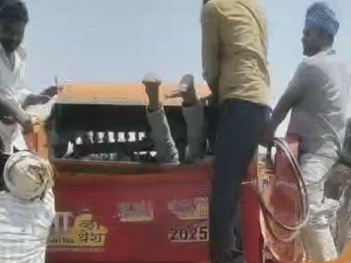 પ્રયાગરાજમાં થ્રેશરમાં ફસાઈ જતા વિદ્યાર્થીનું મોત:ઉંઘા માથે મશીનમાં ખેંચાઈ ગયો, માથું ધડથી અલગ થઈ ગયું; ખેતરમાં કામ કરતી વખતે હાથ ફસાઈ ગયો હતો