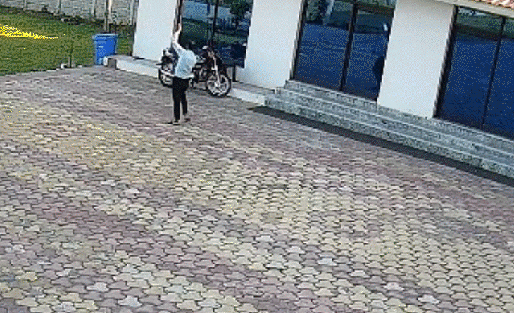 કરંટ લાગતા યુવક જીવતો સળગી ગયો,VIDEO:રિસોર્ટમાંથી વાંદરા ભગાડી રહ્યો હતો; હાઈટેન્શન લાઇન સાથે પાઇપ અથડાયો અને મોત મળ્યું