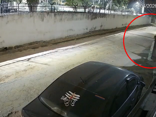 દાદી ચીસો પાડતી રહી અને પૌત્રની થારે કચડી નાખી, મોત:પાર્ક કરતી વખતે કાર રિવર્સમાં આવી, CCTVમાં કેદ થયો હૃદયદ્રાવક નજારો