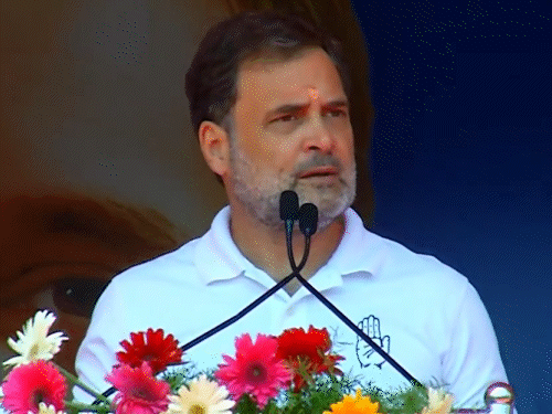 કન્યાકુમારીમાં રાહુલે કહ્યું-BJP સામે AIADMK ઘૂંટણીયે પડ્યું:RSSને દ્રવિડ વિચારધારાથી નફરત છે, પરંતુ તમિલનાડુ પર રાજ કરવા માંગે છે