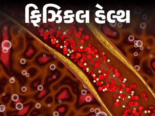 8 વર્ષ પછી કોલેસ્ટેરોલની નવી ગાઇડલાઇન જાહેર કરાઈ:LDL 100થી નીચે રાખો, 20 વર્ષની ઉંમરથી ટેસ્ટ કરાવો; જાણો તમારા ‘દિલ’ને ધબકતું રાખવાની પરેજીઓ