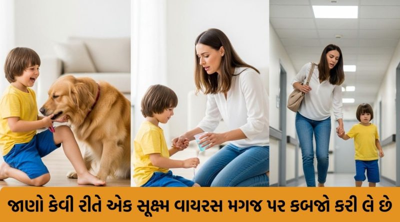 મોતનું બીજું નામ ‘રેબિઝ’ ! કૂતરાના માત્ર ચાટવાથી કેવી રીતે ફેલાય છે આ અસાધ્ય રોગ ? જુઓ Viral Video