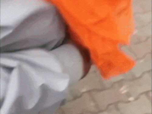 ચંદીગઢમાં પંજાબ BJP હેડક્વાર્ટરની બહાર બ્લાસ્ટ:ગ્રેનેડ ફેંકવાનો VIDEO સામે આવ્યો, આ જ હુમલાનો વીડિયો હોવાનો દાવો, 2 શંકાસ્પદ લોકોની શોધખોળ