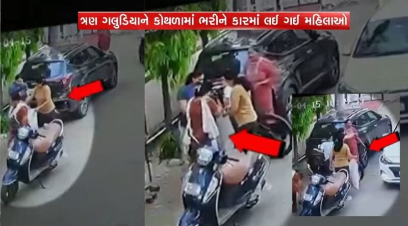 ગજબ કહેવાય, વડોદરામાં ગલુડીયાની ચોરી ! કોથળામાં ભરીને મહિલાઓ કારમાં ભાગી, વીડિયો વાયરલ
