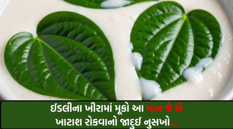 ઉનાળામાં ઈડલીનું ખીરું ખાટું થઈ જાય છે? બસ, આ એક પાન મૂકો અને જુઓ જાદુ!