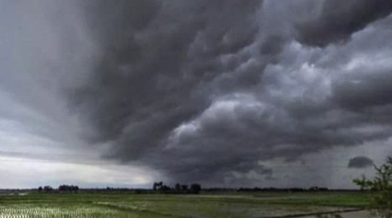 અલ નીનોની અસરના કારણે આ વર્ષે ચોમાસું નબળું રહેશે:લગભગ 80 સેમી વરસાદનો અંદાજ, સિઝનના અંતમાં થોડી રાહત મળી શકે છે અલ નીનોની અસરના કારણે આ વર્ષે ચોમાસું નબળું રહેશે:લગભગ 80 સેમી વરસાદનો અંદાજ, સિઝનના અંતમાં થોડી રાહત મળી શકે છે