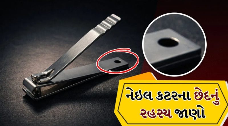 નેઇલ કટરમાં છેલ્લે છેદ કેમ આપેલું હોય છે? 99 ટકા લોકોને તો ખબર જ નથી
