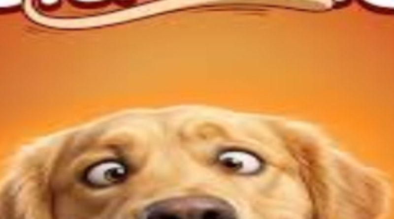 રક્ષાબંધનના દિવસે થિયેટર્સમાં ‘અસંભાવઉઉઉ’ ધમાલ!:વૈશલ-આનંદની નવી ફિલ્મનું ઈન્ટ્રસ્ટિંગ ટાઈટલ રિવીલ; મિત્ર, રોનક અને તત્સતની સુપરહીટ જોડી દેખાશે રક્ષાબંધનના દિવસે થિયેટર્સમાં ‘અસંભાવઉઉઉ’ ધમાલ!:વૈશલ-આનંદની નવી ફિલ્મનું ઈન્ટ્રસ્ટિંગ ટાઈટલ રિવીલ; મિત્ર, રોનક અને તત્સતની સુપરહીટ જોડી દેખાશે