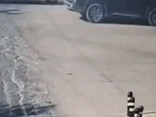 પોલીસકર્મીને બોનેટ પર લટકાવી સગીરે કાર દોડાવી:કરનાલમાં ચેકિંગ માટે રોક્યો તો ટક્કર મારી, નવી ગાડીમાં છોકરી સાથે હતી; મા ઓસ્ટ્રેલિયાની નાગરિક