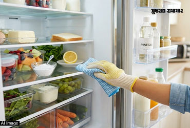 રેફ્રિજરેટર સાફ કરવાની સાચી રીત: દુર્ગંધ દૂર કરવા અને ખોરાકને લાંબો સમય તાજો રાખવા માટે ફોલો કરો આ સ્ટેપ્સ