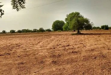 ભારતમાં ટોચનાં ૧૦ ટકા ગ્રામીણ પરિવારો પાસે ૪૪ ટકા જમીન