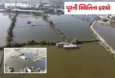 વાવ-થરાદ:  પૂરના 8 મહિના બાદ પણ લેડાઉ ગામ જળમગ્ન, અન્યાયનો જવાબ ચૂંટણીમાં આપવાની ગ્રામજનોની ચીમકી