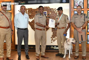 ગુજરાત પોલીસના શ્વાન ‘ચેક’નો રાષ્ટ્રીય ફલક પર ડંકો: 16 વર્ષના બાદ ઓલ ઇન્ડિયા પોલીસ ડ્યુટી મીટમાં જીત્યો ‘ગોલ્ડ’