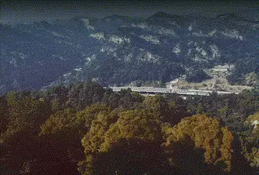 દિલ્હીથી દેહરાદૂન એક્સપ્રેસ વે! એશિયાના સૌથી લાંબા વાઇલ્ડ લાઇફ કોરિડોરનું PM મોદીએ કર્યું લોકાર્પણ