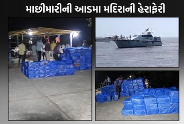 વલસાડ દરિયાકાંઠે કસ્ટમ્સની મોટી કાર્યવાહી, દમણથી આવતી બોટમાંથી 50 લાખનો દારૂ ઝડપાયો