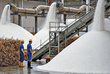 ખાંડનું ઉત્પાદન 8 ટકા વધીને 2.739 મિલિયન મેટ્રિક ટન