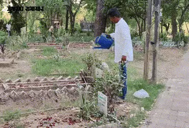 સ્થાનિક સ્વરાજ્યની ચૂંટણી: રાજપીપળામાં કોંગ્રેસે કબ્રસ્તાનની સંભાળ રાખતા વ્યક્તિને આપી ટિકિટ