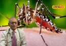 World Malaria Day: મચ્છરનો એક ડંખ પડી શકે છે ભારે! જાણો કેમ વધી રહ્યા છે મેલેરિયાના કેસ?