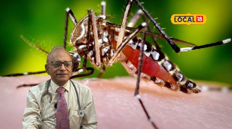 World Malaria Day: મચ્છરનો એક ડંખ પડી શકે છે ભારે! જાણો કેમ વધી રહ્યા છે મેલેરિયાના કેસ?
