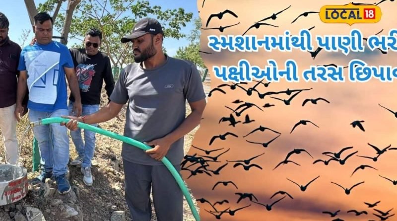 સ્મશાનમાંથી પાણી ભરીને પક્ષીઓની તરસ છિપાવી, રાજકોટના મહેશભાઈનો અદ્ભુત સેવાયજ્ઞ