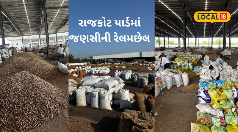 રાજકોટ માર્કેટ યાર્ડમાં કૃષિ પેદાશોની બમ્પર આવક, 1200થી વધુ વાહનોની કતારો લાગી